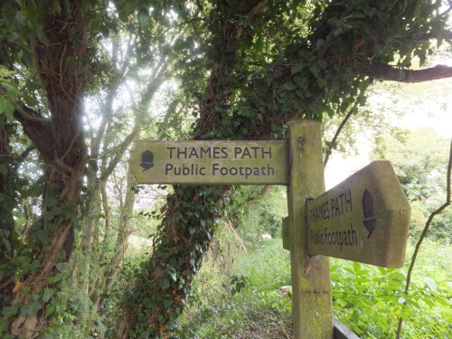 f0320815_21095669.jpg
