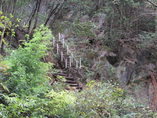 長登銅山は　さすがに長～い登りじゃった　今日は長いで！　１０月２７日（月）はれ_f0341616_08101679.jpg