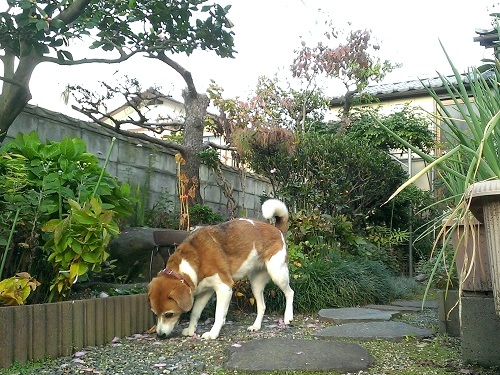 雨降りだから_c0084117_11454.jpg