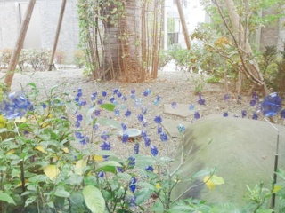 森鴎外記念館で現代アート！_e0208519_12474155.jpg