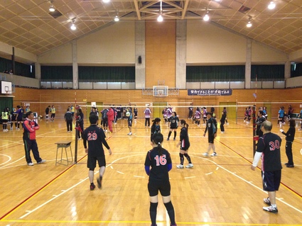 『第12回 日和田ソフトバレーボールフェスティバル』_f0259324_20493363.jpg