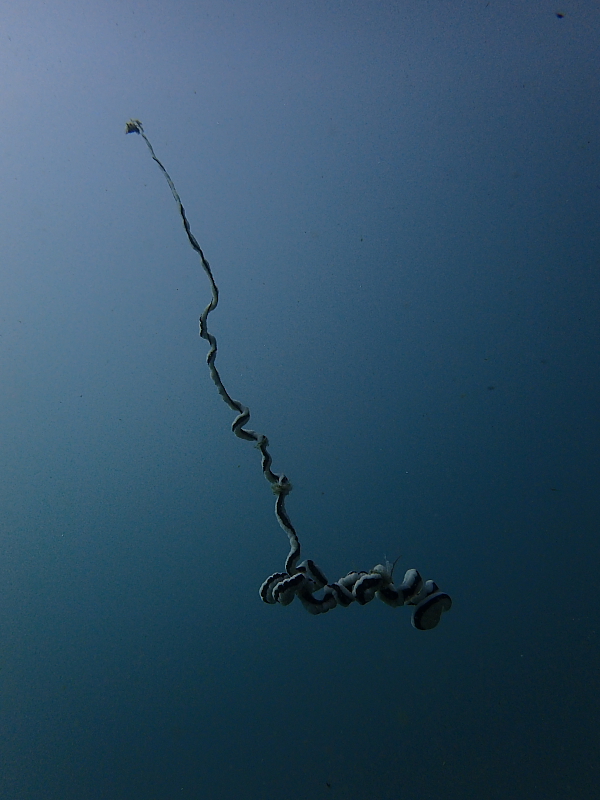 c0034029_2291340.jpg