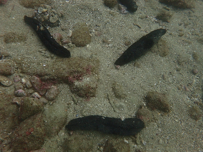 c0034029_2294678.jpg