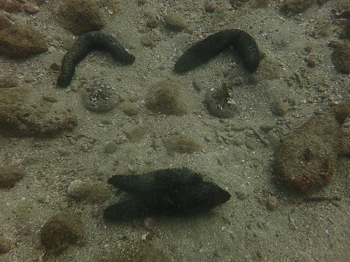 c0034029_2295537.jpg