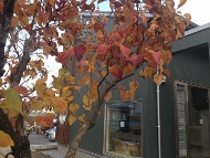 c0223331_1471825.jpg