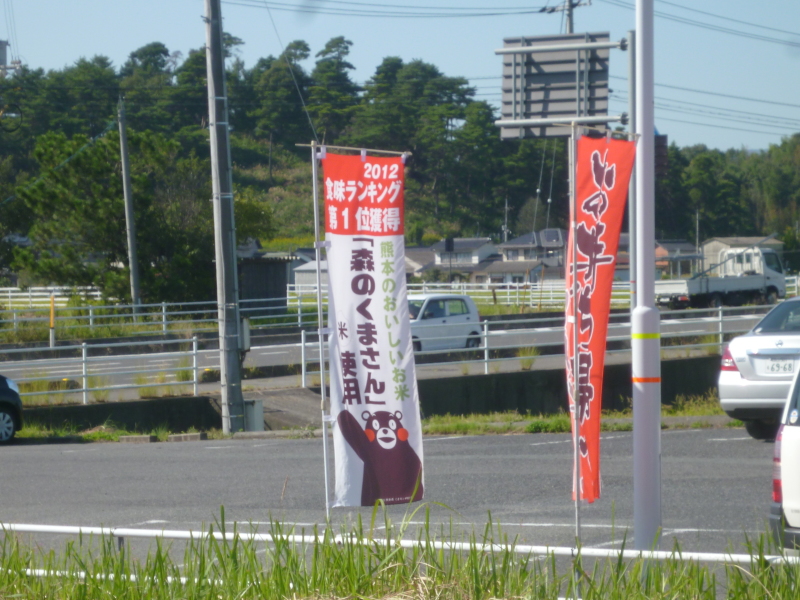 今年のコメの値段で米作りを続けられるのか？！_c0326333_21174412.jpg