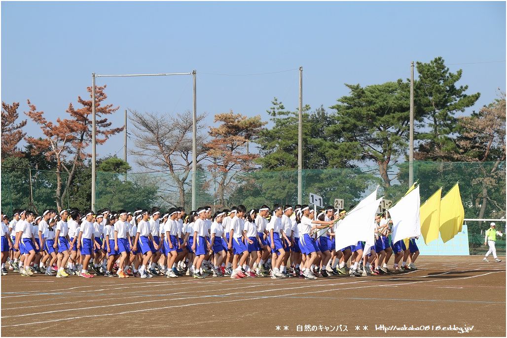 中学生　運動会 