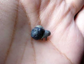 なつかしい授業中 これでいいのだ むつずかん