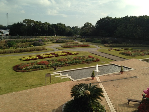 三陽メディアフラワーミュージアム_a0267942_17274597.jpg