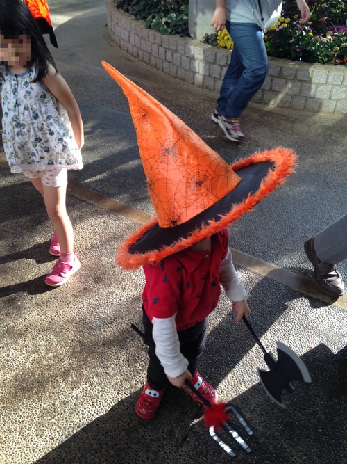 三陽メディアフラワーミュージアム_a0267942_17281011.jpg