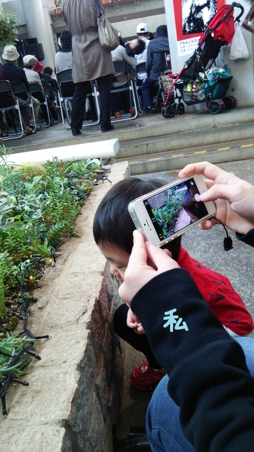三陽メディアフラワーミュージアム_a0267942_17343183.jpg