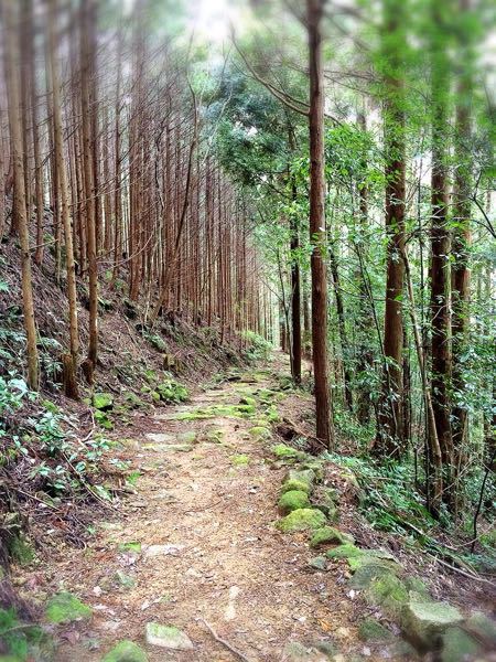 熊野古道@二木島峠・逢神坂峠コース_e0292546_1231494.jpg