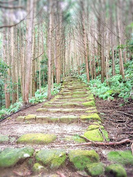 熊野古道@二木島峠・逢神坂峠コース_e0292546_1231664.jpg