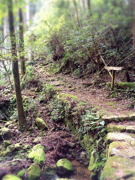 熊野古道@二木島峠・逢神坂峠コース_e0292546_123245.jpg