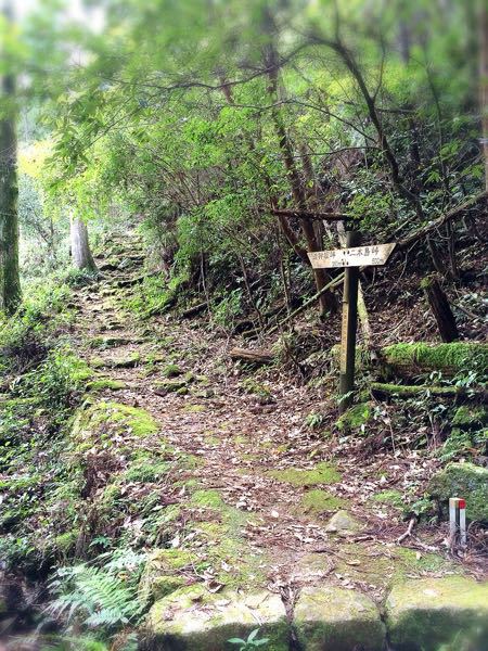 熊野古道@二木島峠・逢神坂峠コース_e0292546_123859.jpg