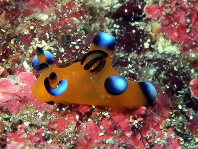 d0058549_22152599.jpg
