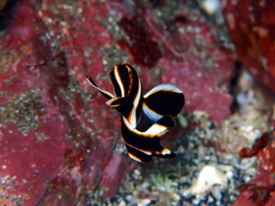d0058549_22153824.jpg