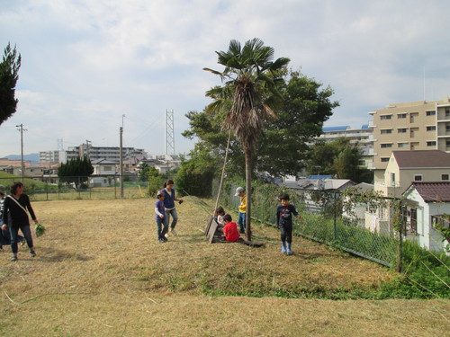 玉ねぎの植え付けをしました_f0079749_15544914.jpg