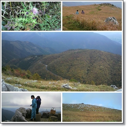 e0206750_6571567.jpg