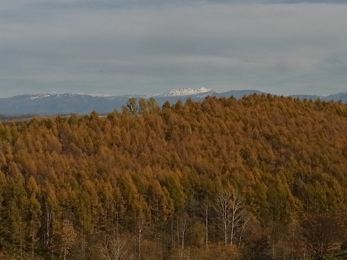 e0326953_2012114.jpg