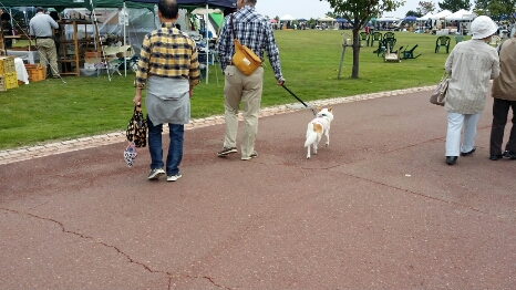 吉田公園に行ってきました_f0046854_2223072.jpg