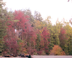 d0050155_10164453.jpg