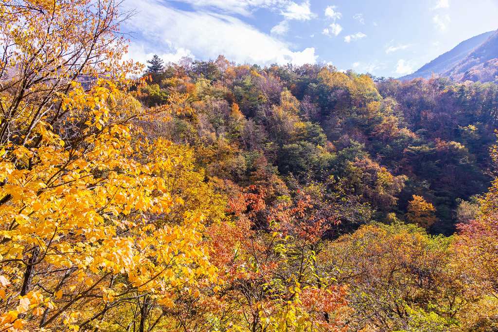 松川渓谷遊歩道の紅葉_f0044056_09004098.jpg