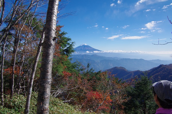 八紘嶺（紅葉・富士山）_d0164761_14595816.jpg