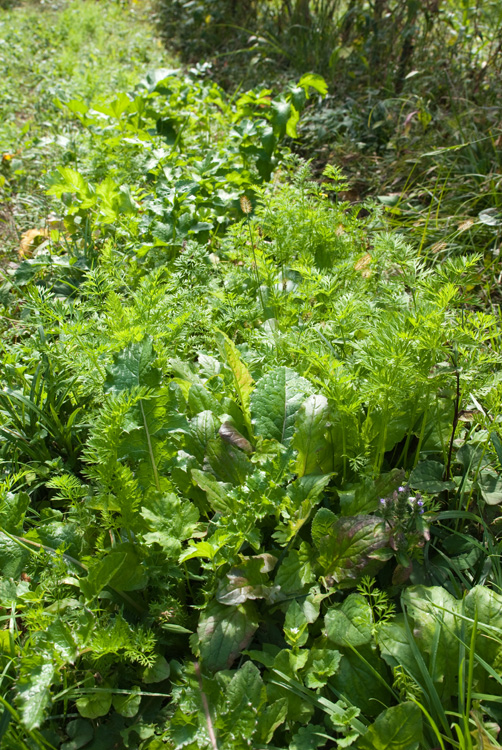 d0231263_04435.jpg