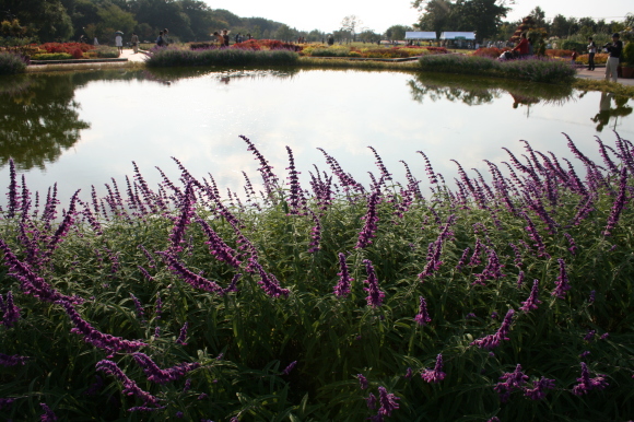 c0248269_08152274.jpg