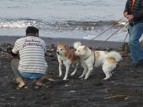 三浦でシーカヤック②_c0122670_06051364.jpg