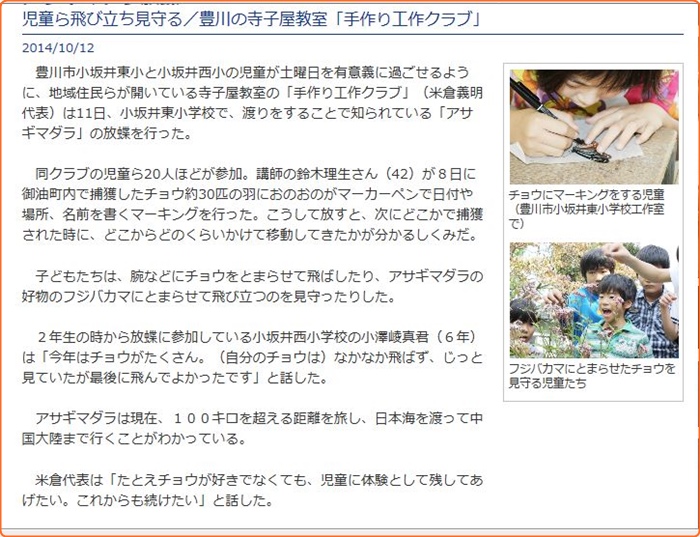 部屋の前のコスモスにアサギマダラが来た 小次郎じじ物語