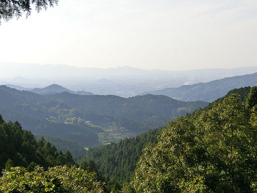d0170871_19422544.jpg