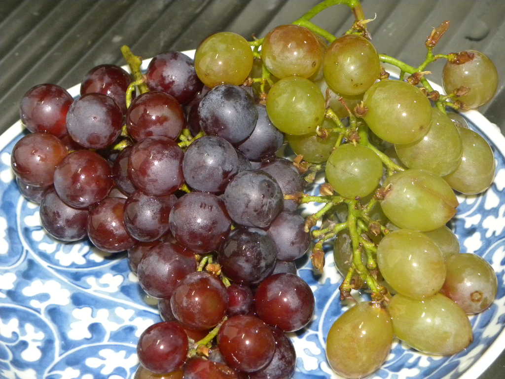 c0162773_12261951.jpg