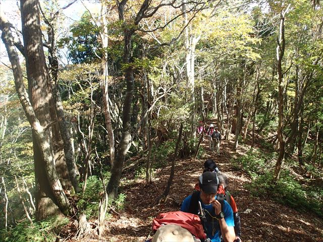 2014.10.26　佐々里峠～品谷山～廃村八丁～刑部谷～新心荘～桂谷～佐々里峠_b0182174_20571596.jpg