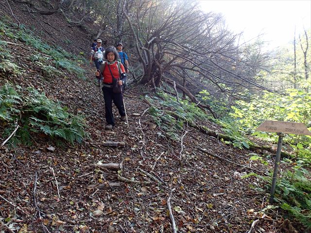 2014.10.26　佐々里峠～品谷山～廃村八丁～刑部谷～新心荘～桂谷～佐々里峠_b0182174_2183535.jpg