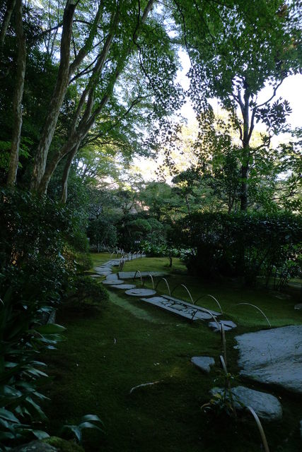 a0182281_1601927.jpg