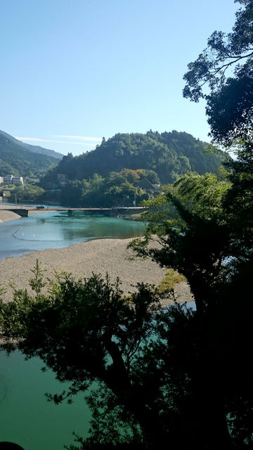 a0182281_1727147.jpg