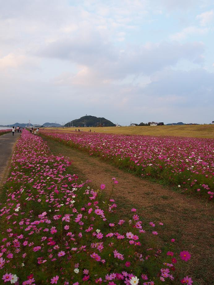 f0248782_1174125.jpg
