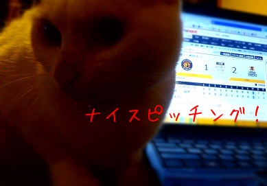 針尾ふるさと館と魚魚市場_d0195183_0271966.jpg