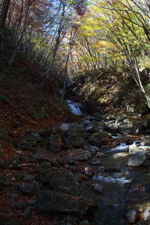 e0165983_18304632.jpg
