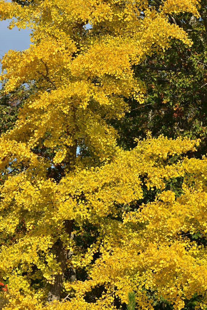 a0141385_07375.jpg