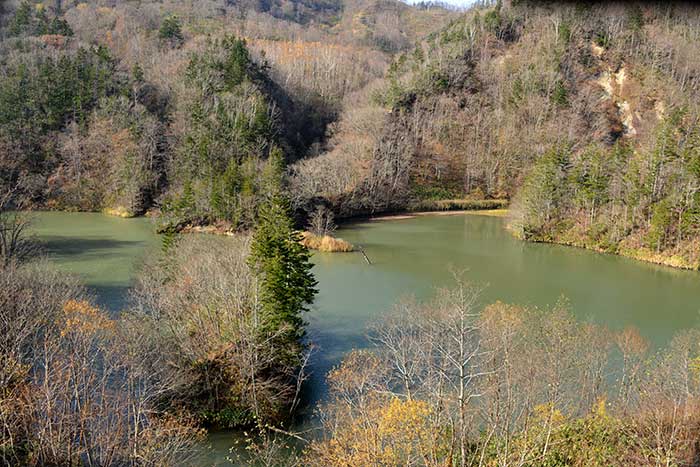 f0212586_904539.jpg
