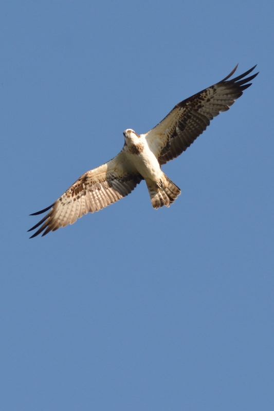 f0340091_22025502.jpg