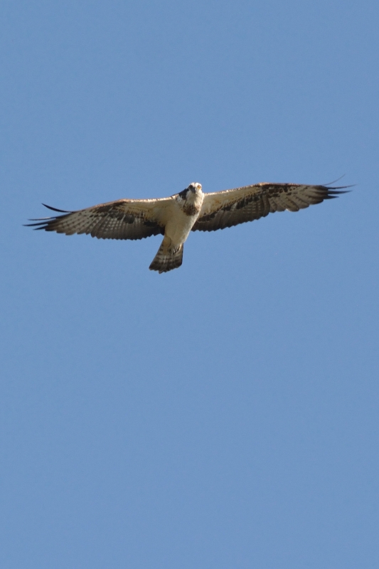 f0340091_22035509.jpg