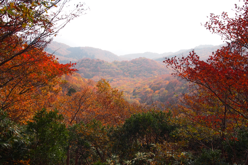 b0223592_2123491.png