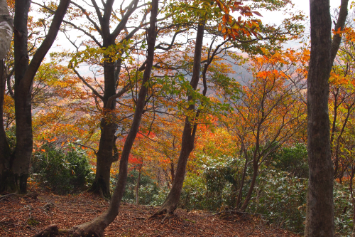 b0223592_2151390.png
