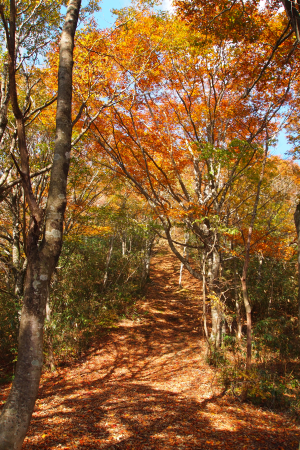 b0223592_2155247.png