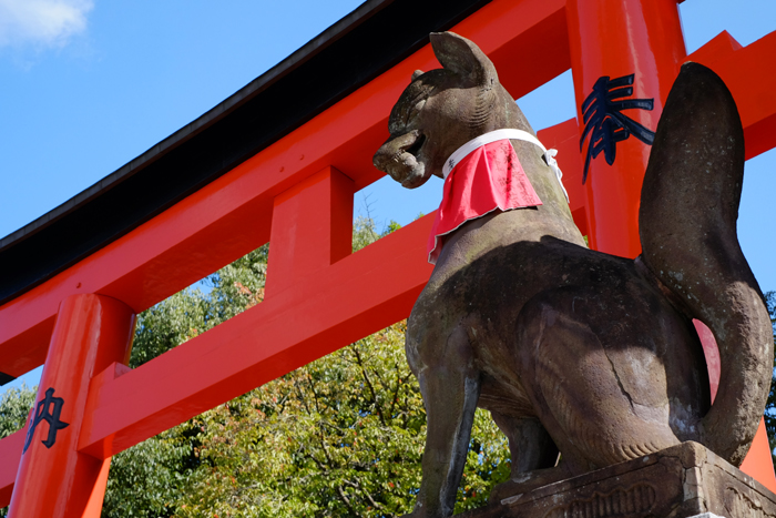 今年の京都は、階段だらけ　その５　伏見稲荷大社へ_e0079696_919213.jpg