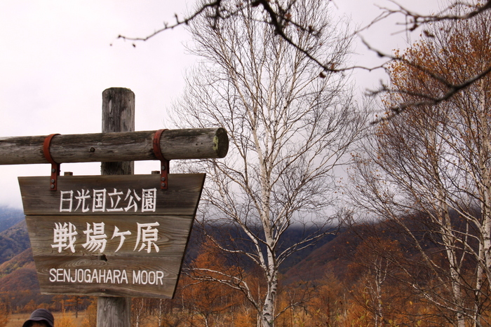 d0248502_16581271.jpg